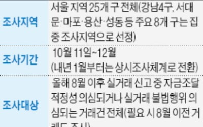 범정부 32개 기관, 강남권·마용성 부동산 거래 대대적 조사