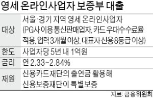 온라인사업자 年 2% 대출…'자금 숨통' 틔워준다