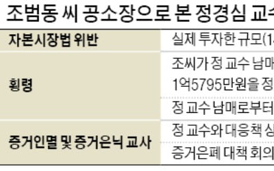 檢 "정경심, 남동생 명의로 코링크 차명투자"