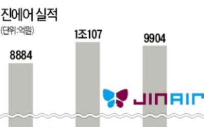 신규취항도 채용도 '스톱'…진에어, 1년2개월째 경영차질