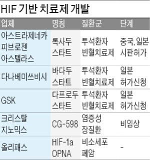 노벨의학상 수상자들이 연구한 HIF 활용 '2兆 빈혈약' 나온다