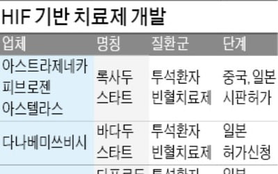 노벨의학상 수상자들이 연구한 HIF 활용 '2兆 빈혈약' 나온다