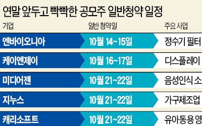 "연내 상장 가즈아"…16곳 'IPO 랠리' 스타트