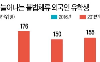 서울 10개大 불법체류 유학생 2년새 5배 급증