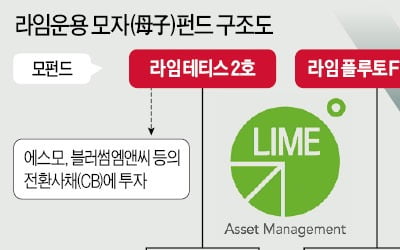 라임 펀드 환매중단 1.3兆로 커지나…올 수익률 반토막 속출