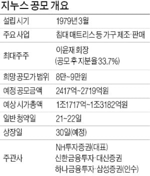 [마켓인사이트] "세계 100개國 진출 목표…온라인의 이케아 되겠다"