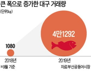 대구·광어 가격 뚝 떨어졌네