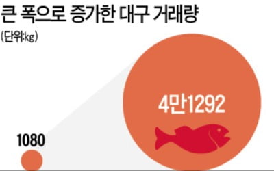 대구·광어 가격 뚝 떨어졌네