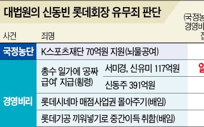 "신동빈, 수동적 뇌물…개인적 이익 없었다"