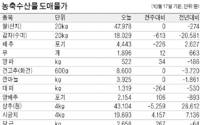 사과 작황 좋아…홍로 가격 36%↓