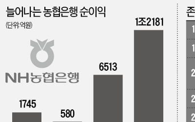 농협銀의 변신…'큰손 자산' 관리조직 만든다