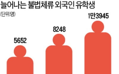 학업 대신 취업 통로로…'불법체류 유학생' 골머리 앓는 대학들