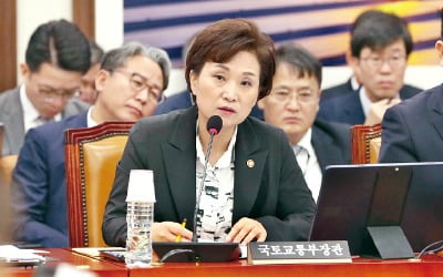 김현미 "1·2기 신도시 종합 교통대책 이달 중 마련"