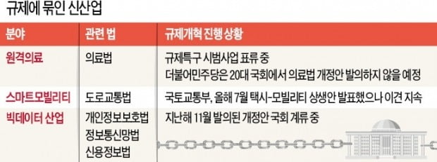 원격의료 20년째 시범사업만…票계산에 발목잡힌 유망 신산업