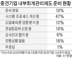 새 내부회계관리 도입 앞두고…중견기업 90% "준비 안 됐다"