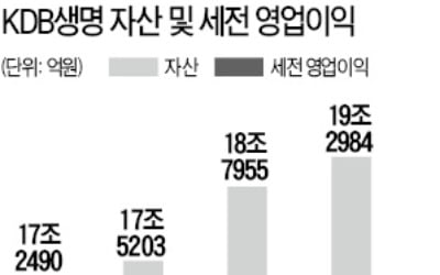 '2000억 vs 8000억'…KDB생명 매각, 몸값이 관건