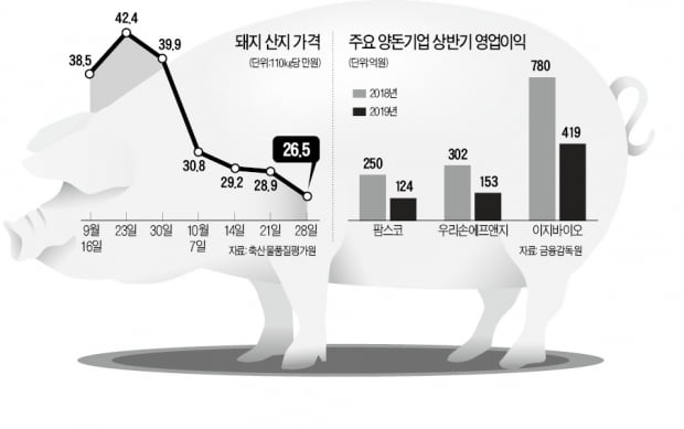 이지바이오 등 양돈株 '도로아미타불'