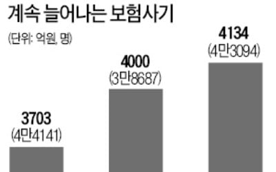 보험사기 4134억 적발 '역대 최대'