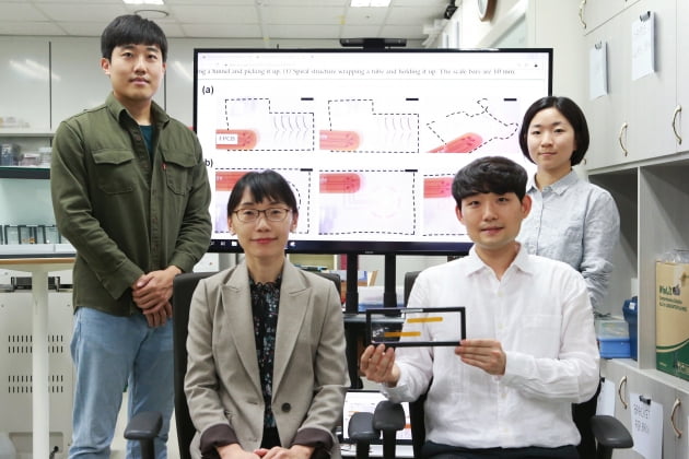 DGIST 김소희 교수팀, 3D구조 디바이스를 풍선 불듯 제작하는 원천기술 개발