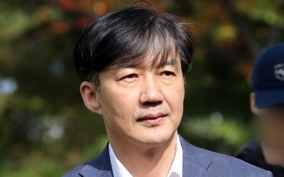 정경심 교수 구속…사그라져가는 '조국 재등판론'