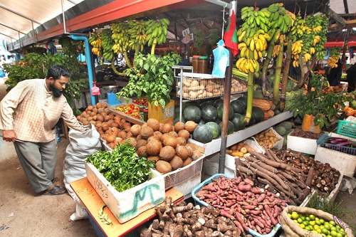 [세계의 시장] 몰디브 말레 수산시장