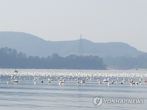 [신음하는 바다] ④ 스티로폼 분해 시간 500년, 낚싯줄 무려 600년