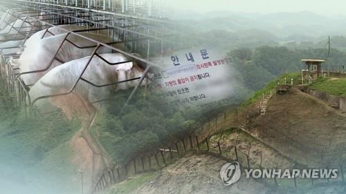 軍 "DMZ·민통선이북 헬기동원 7일간 돼지열병 방역…北에 통보"