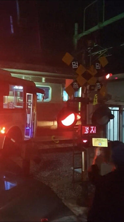백마역 철길 건널목서 버스·열차 충돌…4명 경상(종합)