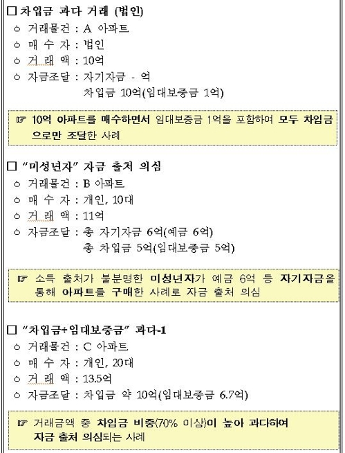 '수상한 집값' 부동산거래 대대적 조사…강남4구·마용성 '집중'