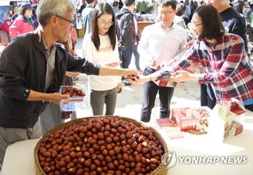 입과 눈이 즐거운 '2019 보은대추축제' 내일 팡파르