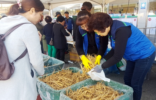 서산 6년근 인삼 직거래 행사 11∼13일 열려…최대 20% 할인