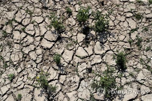 올여름 폭염 휩쓴 북반구, 역대 최고기온 신기록 400개 쏟아져