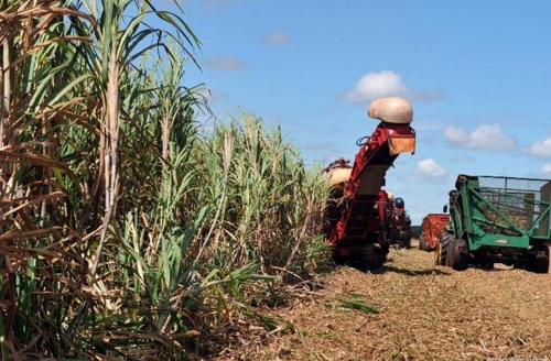 브라질, 올해 농산물 수확량 2억4천만t으로 역대 최대 예상
