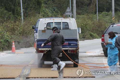 경기도, 아프리카돼지열병 1차 살처분 보상비 160억 집행