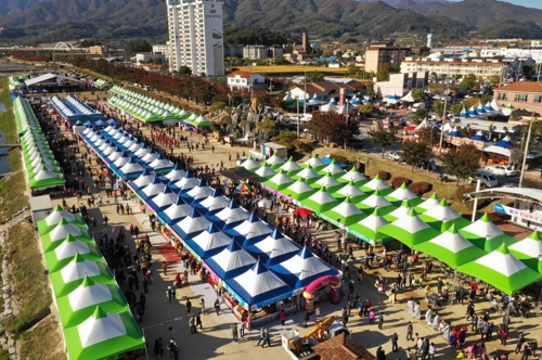 "천년 건강, 풍기 인삼"…영주 풍기인삼축제 막 올랐다