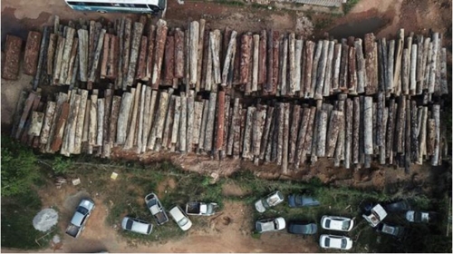 아마존 열대우림 무단벌채 급증…9월에 100% 가까이 증가