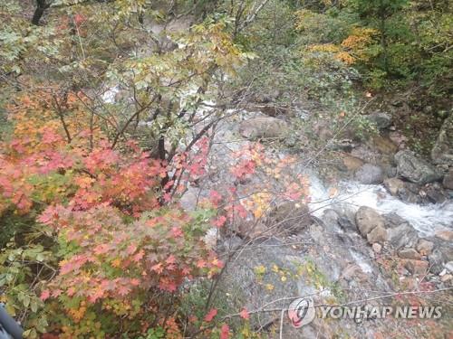 완연한 가을날씨에 축제장마다 인파…단풍 물든 산도 북적