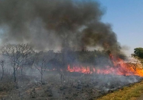 아마존 산불 사태는 진행형…건수 줄었으나 파괴면적 늘어