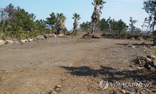 최근 3년간 불법 산림 훼손 4천229ha…피해액 1천345억원