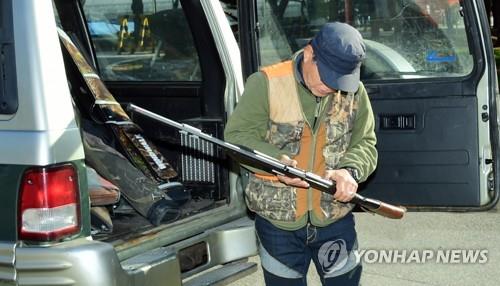 파주 민통선 야생멧돼지 총기 포획 첫날 6마리 잡아