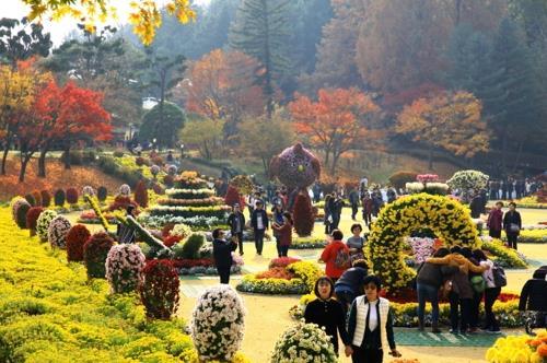 '오색 단풍에 물든 완연한 가을' 전국 곳곳서 축제