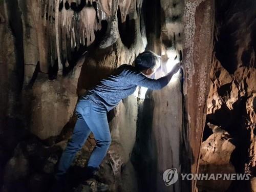 태풍 피해로 문 닫은 울진 성류굴 다시 개방