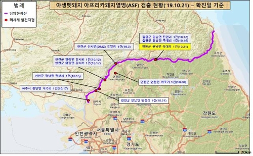 철원 민통선 내 멧돼지서 돼지열병 바이러스 검출…총 12건