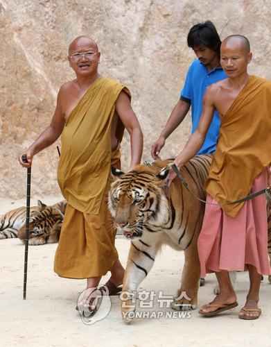 오명의 '태국 호랑이 사원' 유기견·유기묘 보호시설로 탈바꿈