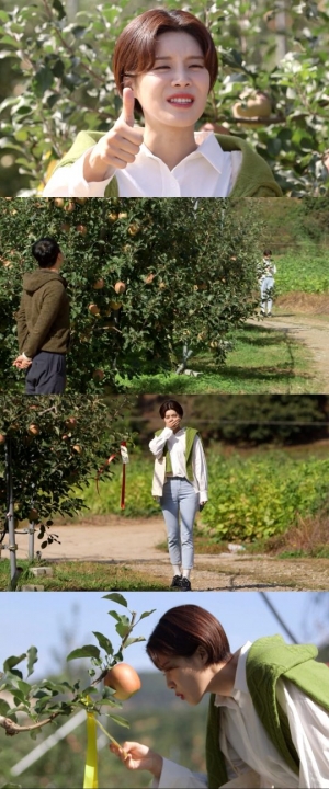 '같이 펀딩' 장도연, 사과밭 그 사나이와 로맨틱한 첫 만남···&#39;두근두근&#39;