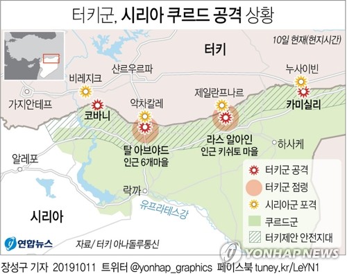 "트럼프, 미군 시리아 철수 며칠 심사숙고 끝에 결정"