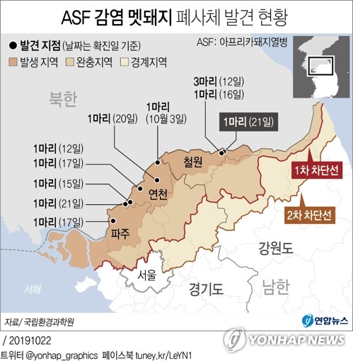 정부, 민통선 이북서 '야생멧돼지 2차 포획작전' 돌입