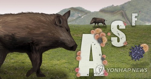 철원 민통선 내 멧돼지서 돼지열병 바이러스 검출…총 12건