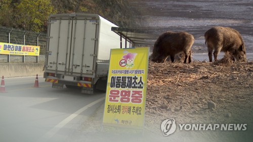 아프리카돼지열병 2주간 잠잠…구체적 방역 수칙 대대적 홍보