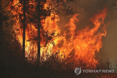 호주 대형 산불로 노부부 사망…가뭄·강풍으로 피해 커져